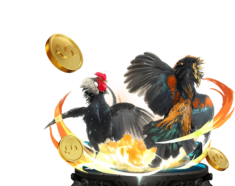 Giá trị cốt lõi và cam kết của Vando88